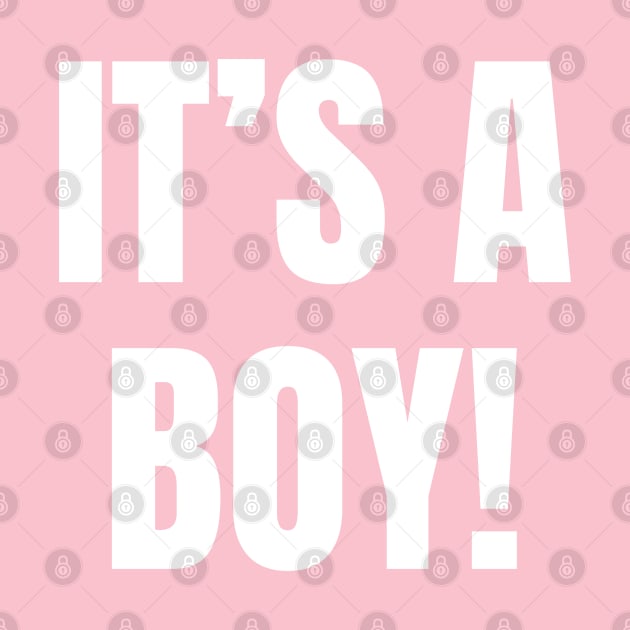 Gender Reveal Party It's A Boy But In Pink by inotyler