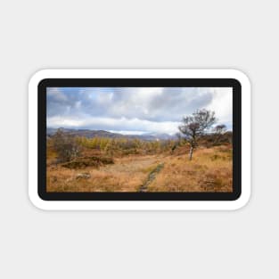 Autumn on Holme Fell Magnet