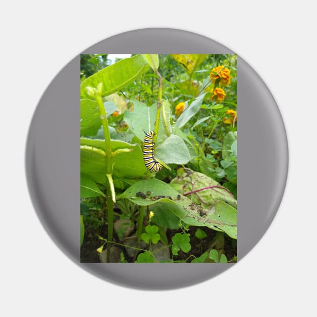 Monarch Butterfly Caterpillar Pin by Reilly's Fine Art and Designs