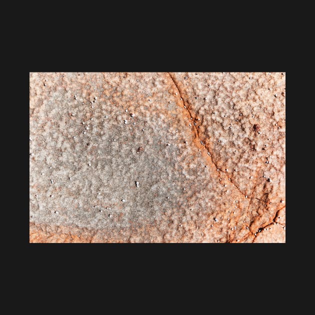 Orange Seaside Rock Erosion by textural