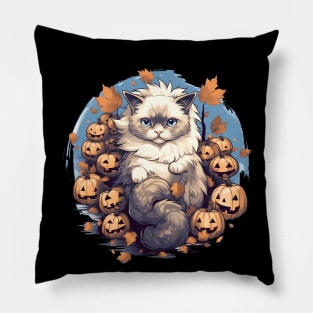 Ragdoll Cat Halloween, Cat Lover Pillow