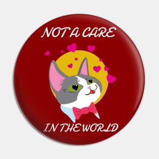 Not Care In The world Pin