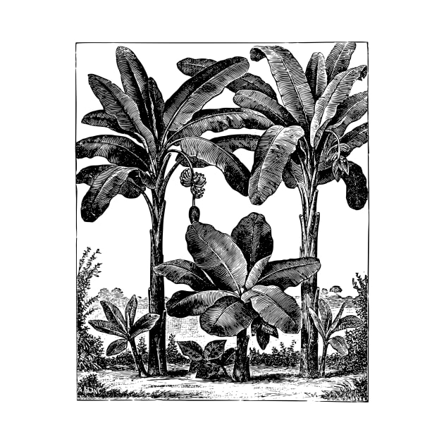 Vintage Banana Trees by OHH Baby