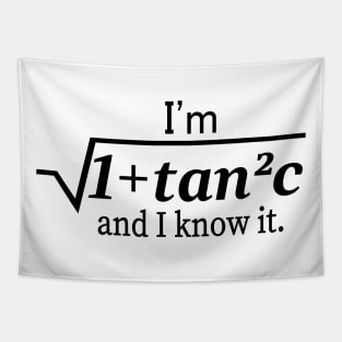 I'm Sqrt[1 + tan2 (c)] And I Know It Funny Math Tapestry