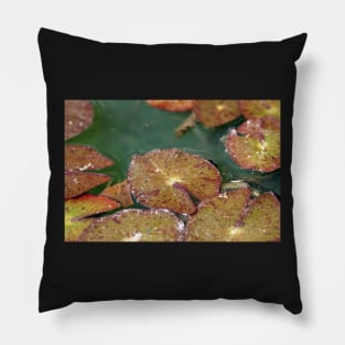 Lily Pad Pillow