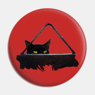 cat at the door Pin