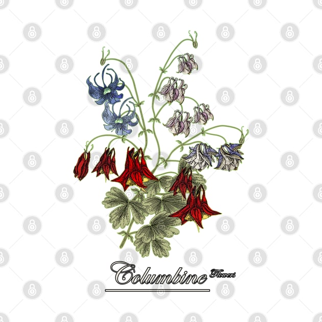 Columbine flowers-Spring Columbine Bouquet-Spring flowers-Aguilegia flowers by KrasiStaleva