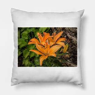 112216 orange lily Pillow