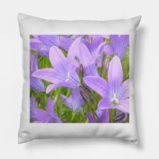 Pretty bluebells Pillow