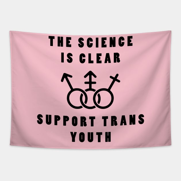 Support Trans Youth (Black on Light Colours) Tapestry by lilmousepunk