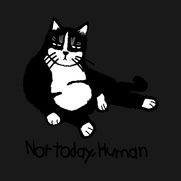 Discover not today human cat tshirt - Not Today Cat - T-Shirt