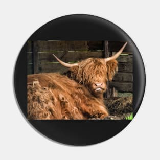 Honey the Hairy Coo Pin