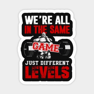 Same game different levels Magnet