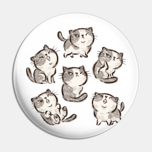 Six Impudent cats Pin