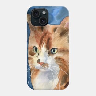 Home cat Phone Case