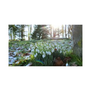 Sunlight Peeks at Snowdrops in Light Snow T-Shirt