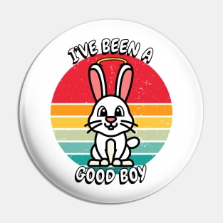 Cute white rabbit is a good boy Pin