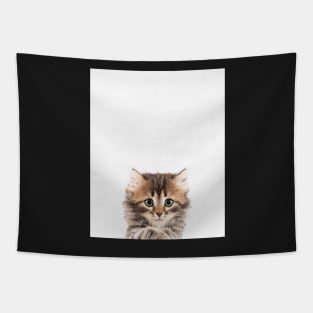 Kitten, Baby, Nursery, Animal, Kids room, Modern art, Wall decor Tapestry