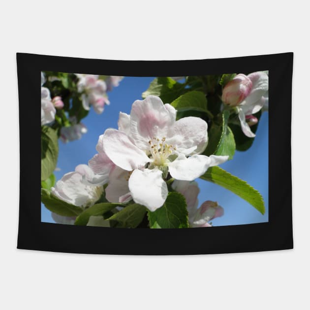 Apple Blossom Tapestry by AH64D