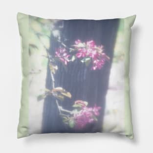 red Malus Radiant crab apple blossoms #6 Pillow