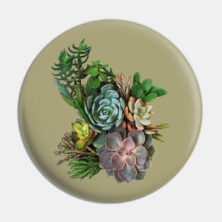 My Succulent garden Pin