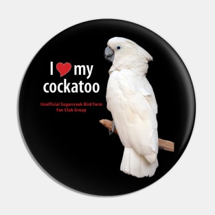 love moluccan cockatoo Pin