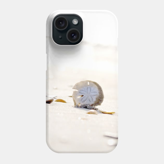 Sand Dollar Phone Case by Bayhill Studio