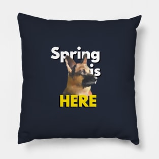 Cute dog announces spring Pillow