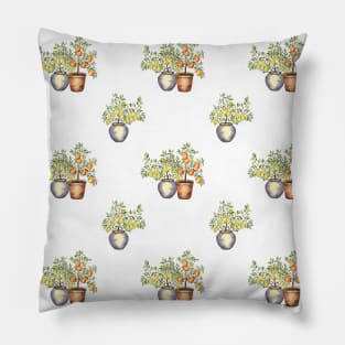 Lemon and Orange trees in pots pattern on white Pillow