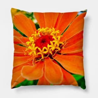 Orange Flower Pillow