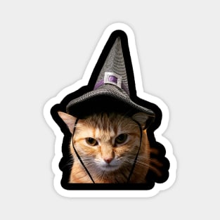 Butterscotch the Witch Magnet