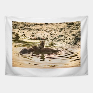 River Otter at sunset Tapestry