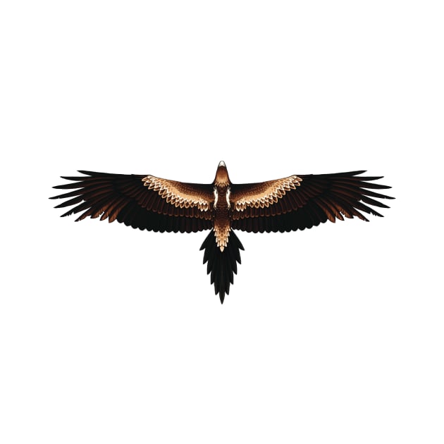 Wedge-Tailed Eagle by 48Tuesdays