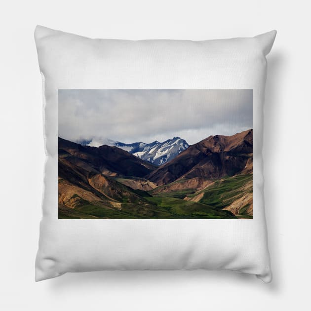 WGC_1264 Pillow by wgcosby