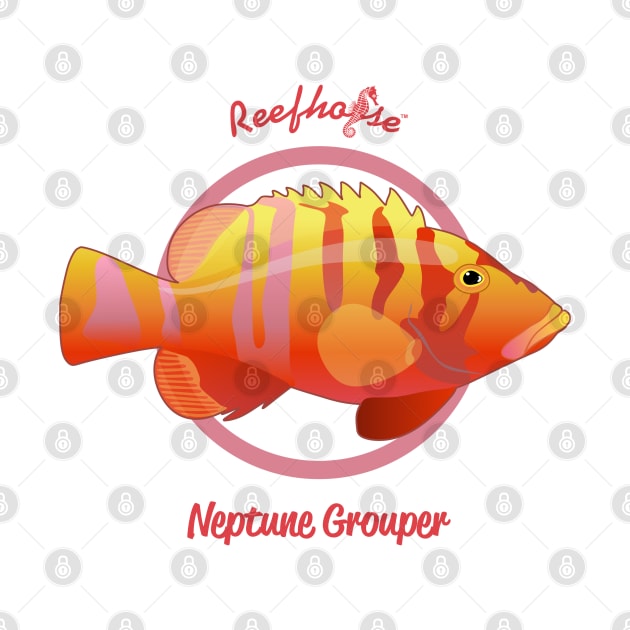 Neptune Grouper by Reefhorse