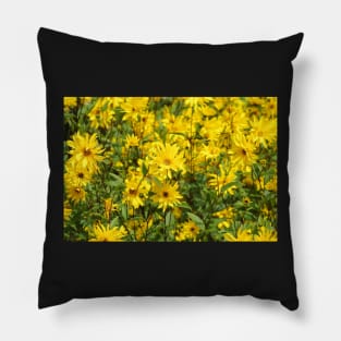 Yellow flowers spring wild flower Pillow