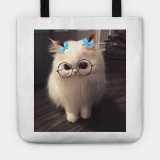 This snapchat filter on my cat Tote
