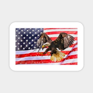 Flag and Eagle Magnet