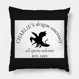 Charlie’s dragon sanctuary Pillow