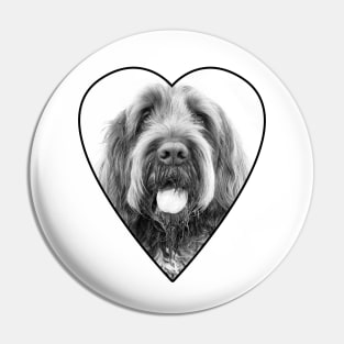 Moustache Spinone Pin