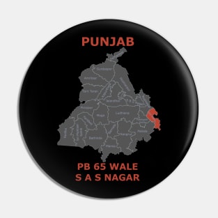 Punjab 65 SAS NAGAR Pin