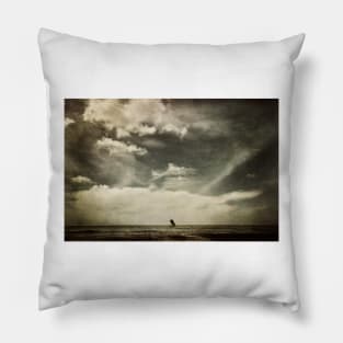 High Seas Pillow