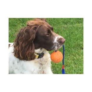 Brock and orange ball T-Shirt