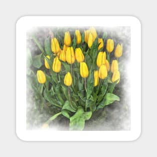 Yellow Tulip Cluster Magnet