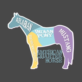 American Quarter Horse Diagram Arabian TB Mustang Indian Pony T-Shirt