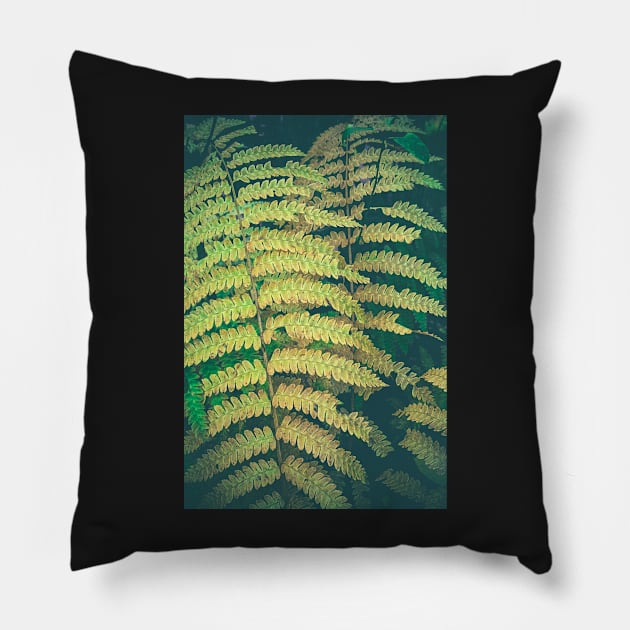 Woodland Fern Pillow by oliviastclaire