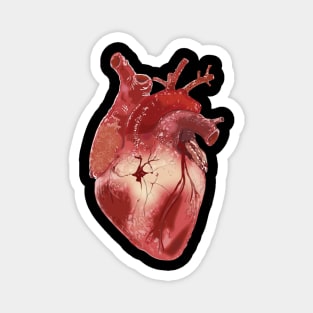 ANATOMICAL HEART Magnet