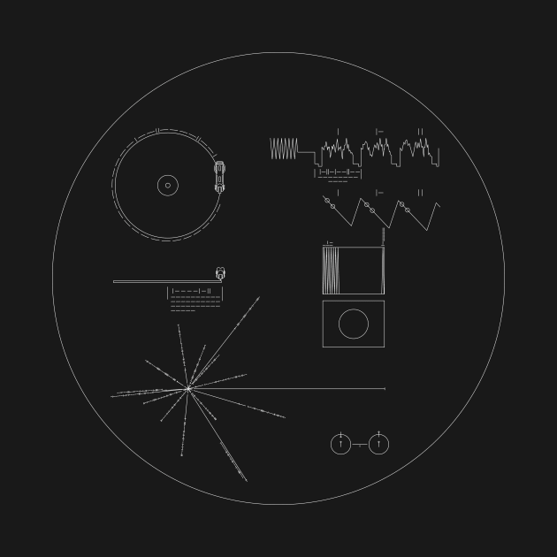 Voyager Golden Record by tuditees