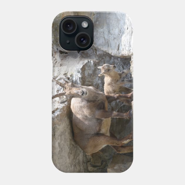 Capricorn Baby / Swiss Artwork Photography Phone Case by RaphaelWolf