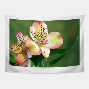 Beautiful bloom blooming blossom Tapestry